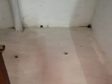 Termite treatment Ernakulam