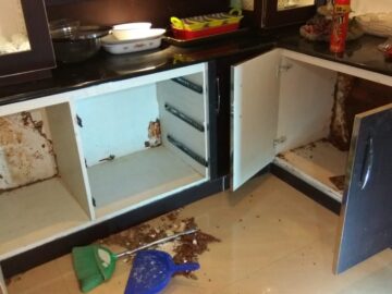 termite and pest control Alappuzha