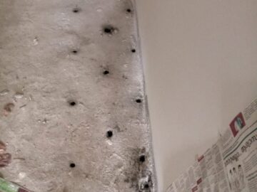 termite and pest control Alappuzha