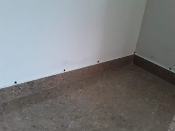 termite protection in Kottayam
