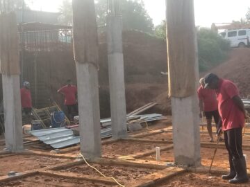 termites in home