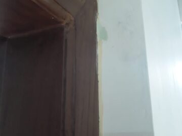 termites in house