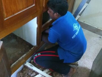 termite protection in Kottayam