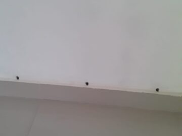 termite treatment at home