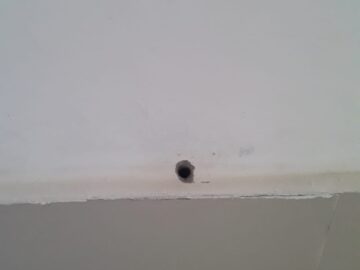 termite treatment at home
