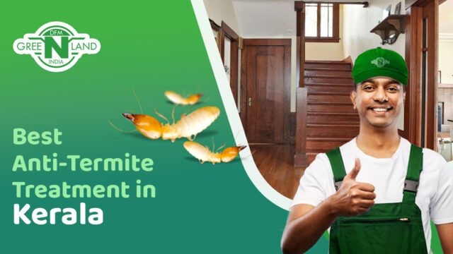 Damage Termites Cause | Best Anti-Termite Treatment In Kerala