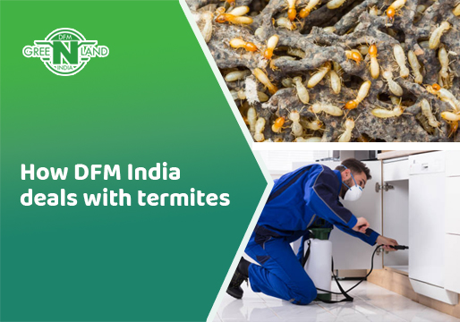 anti-termite treatment in kerala