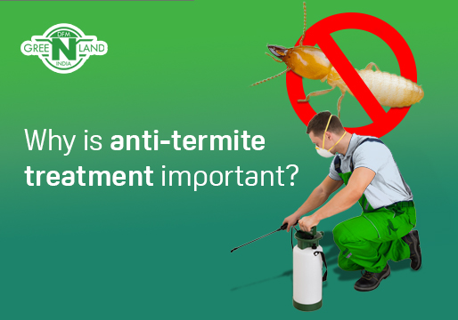 anti-termite treatment in kerala