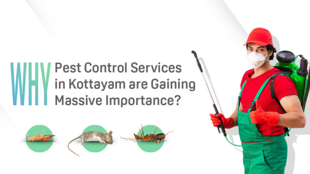 Pest Control Services in Kottayam