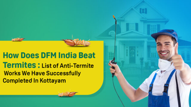 Anti termite treatment in Kottayam