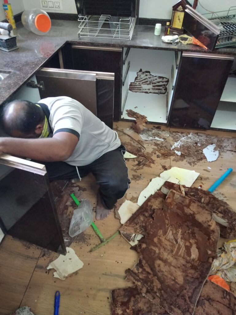 termite treatment in kottayam