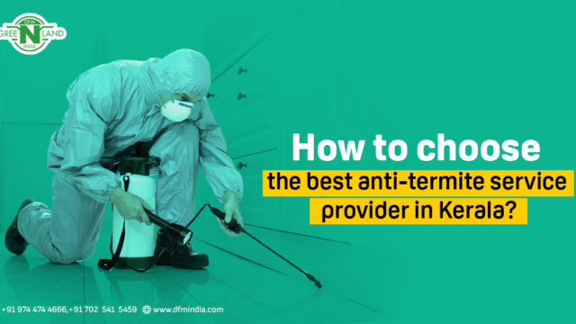 anti-termite service provider in kerala