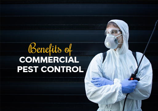 benefits of commercial pest control