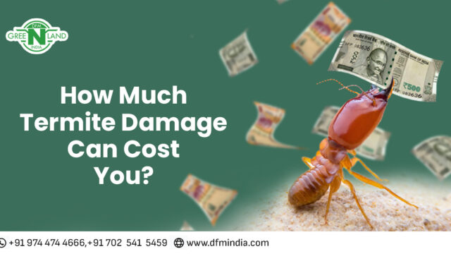 Termite damage cost