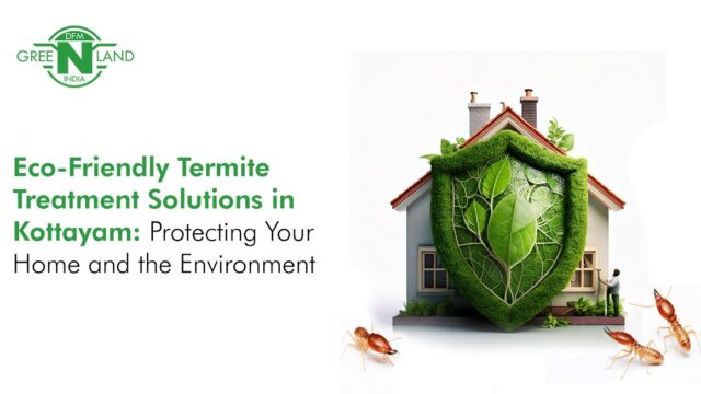 Eco-Friendly Termite Treatment